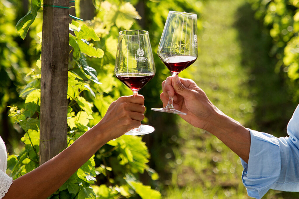 Coppia che brinda con Malvasia nei vigneti di Lipari, tradizione e romanticismo alle Eolie.